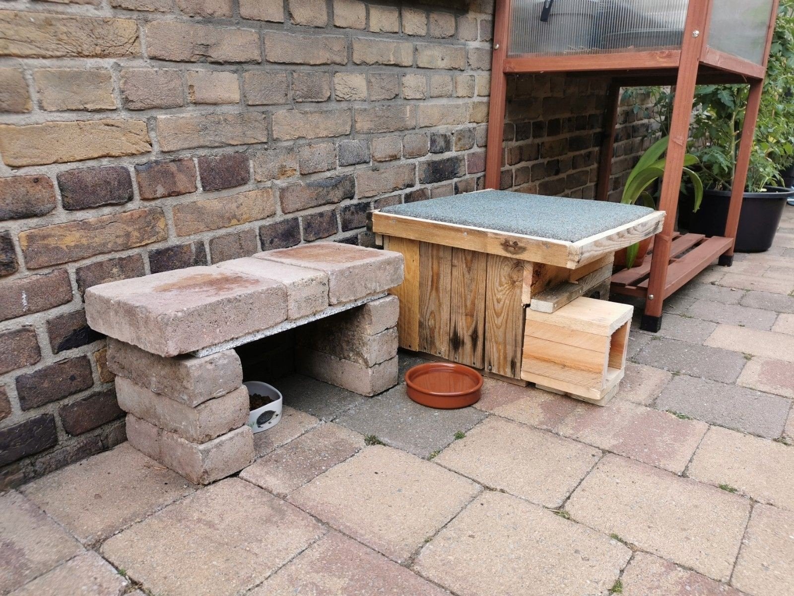 help de egel aan een egelhuis. bijna gratis, Dieren en Toebehoren, Ophalen of Verzenden