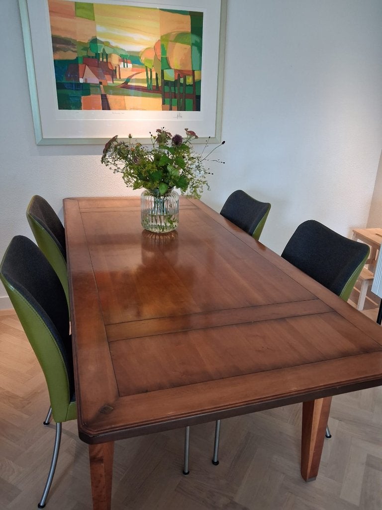 Eettafel en stoelen Bert Plantagie, Ophalen, Zo goed als nieuw, Vier, Leer