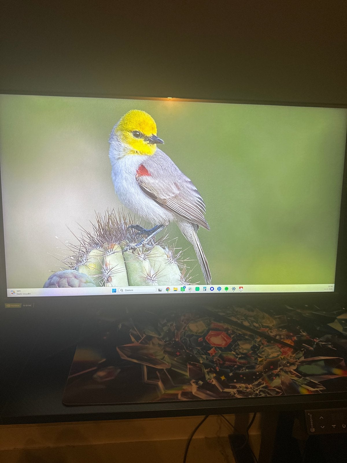 MSI Optix G273 Gaming Monitor - 165Hz, 1ms, Computers en Software, Gaming, Ophalen of Verzenden, Zo goed als nieuw, 1 tot 2 ms