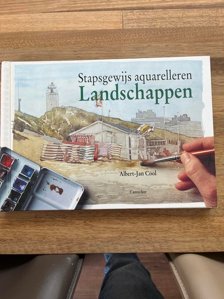 Stapsgewijs aquarelleren Landschappen - Albert-Jan Cool, Ophalen of Verzenden, Zo goed als nieuw