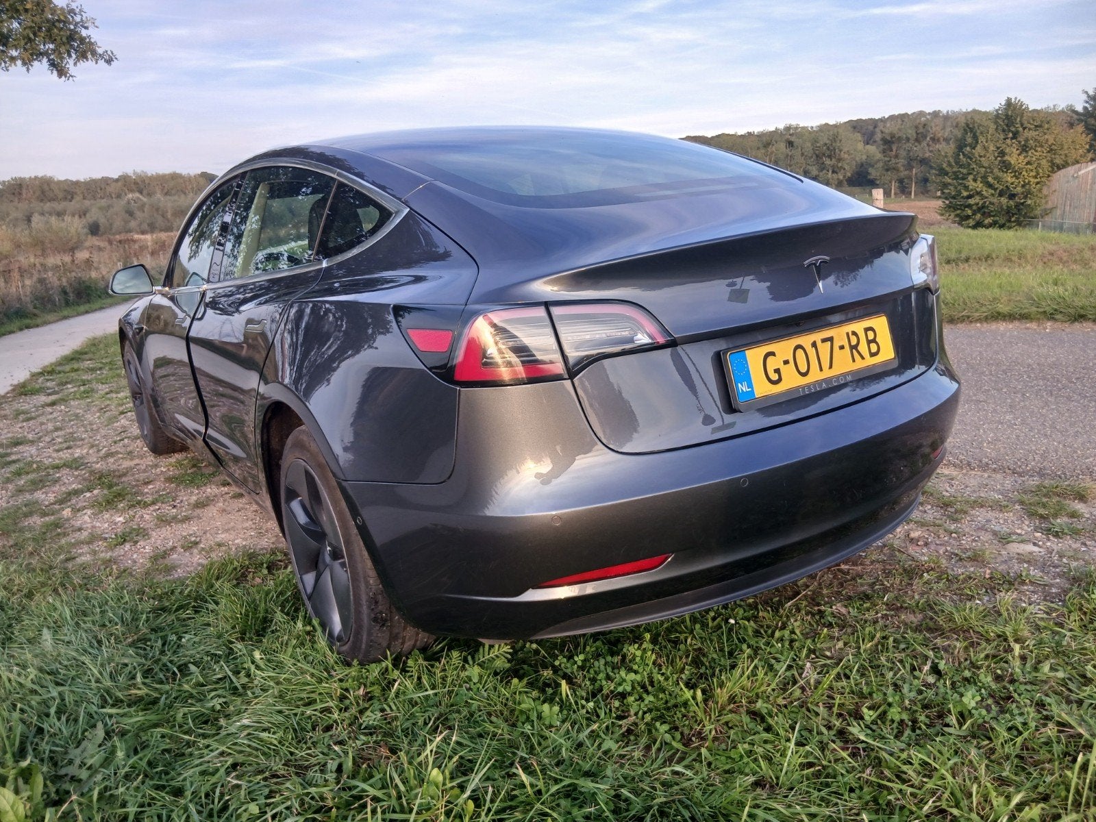 Foto 13 van Tesla Model 3 2019 Grijs