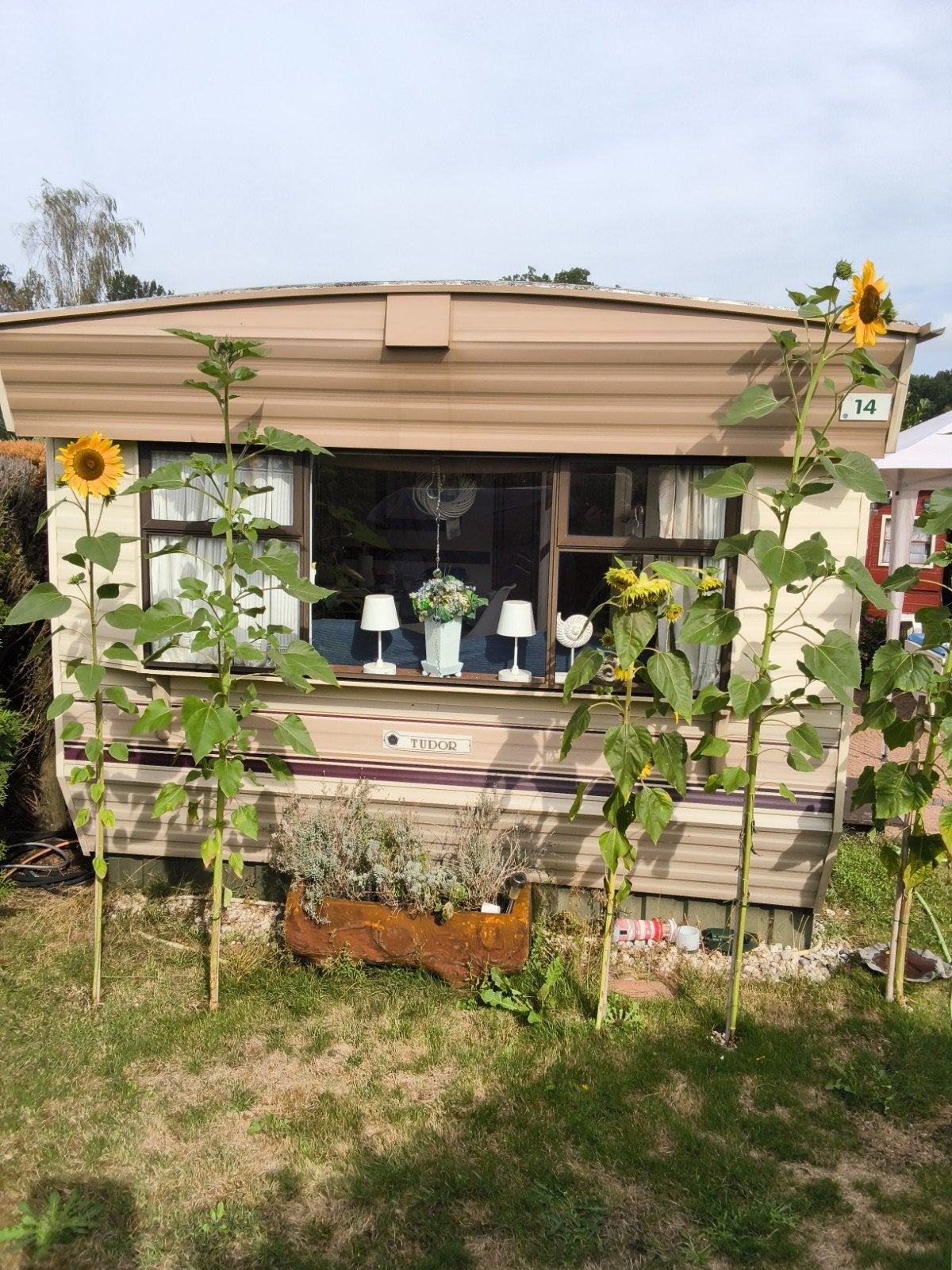 Buitengewone Sta Caravan 9.80x310cm bij u (thuis ?) gebracht, Tot en met 4