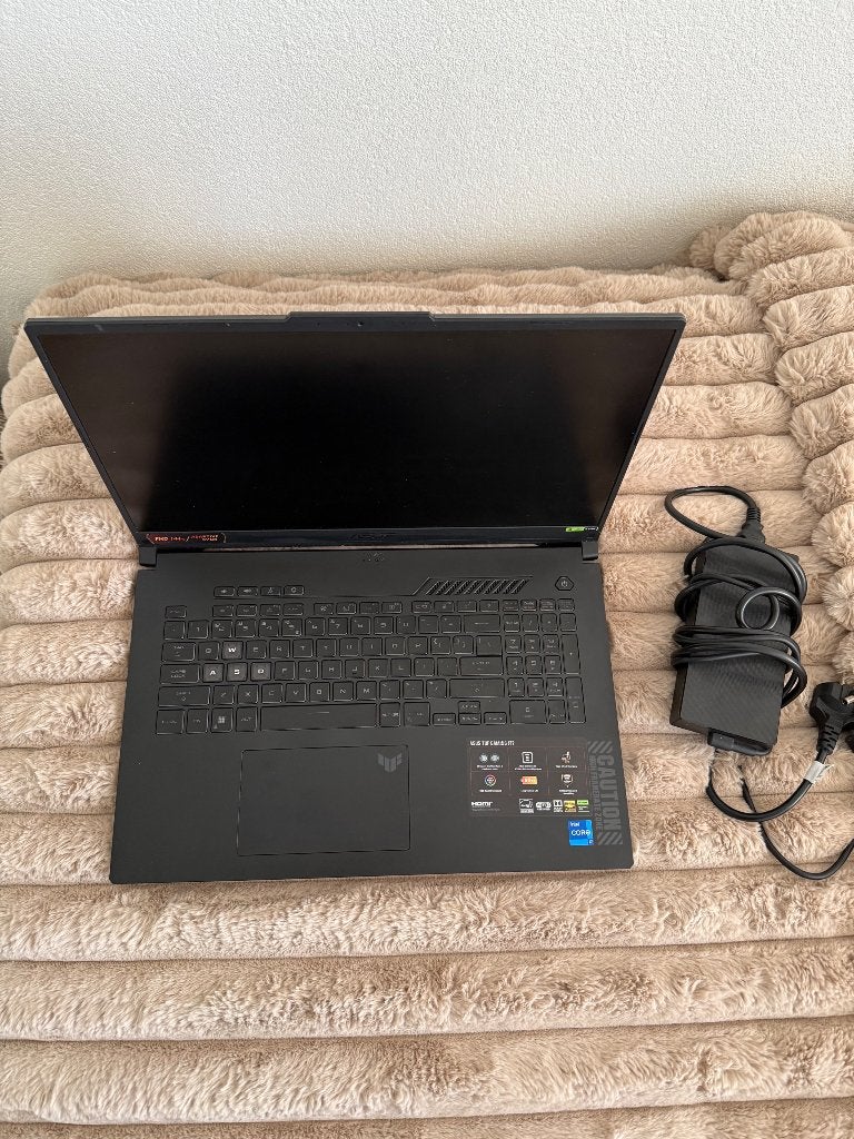 Asus A17 Game Laptop Defect | RTX 4060 | i7-13620H