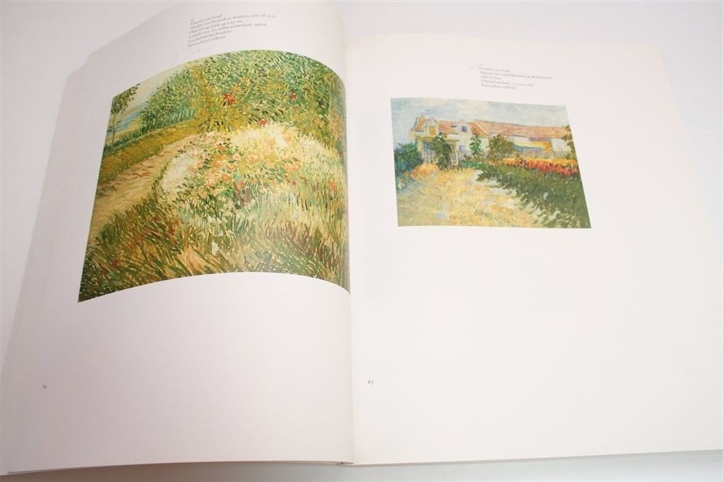 Vincent van Gogh en de Moderne Kunst — 1890-1914, Ophalen of Verzenden, Gelezen
