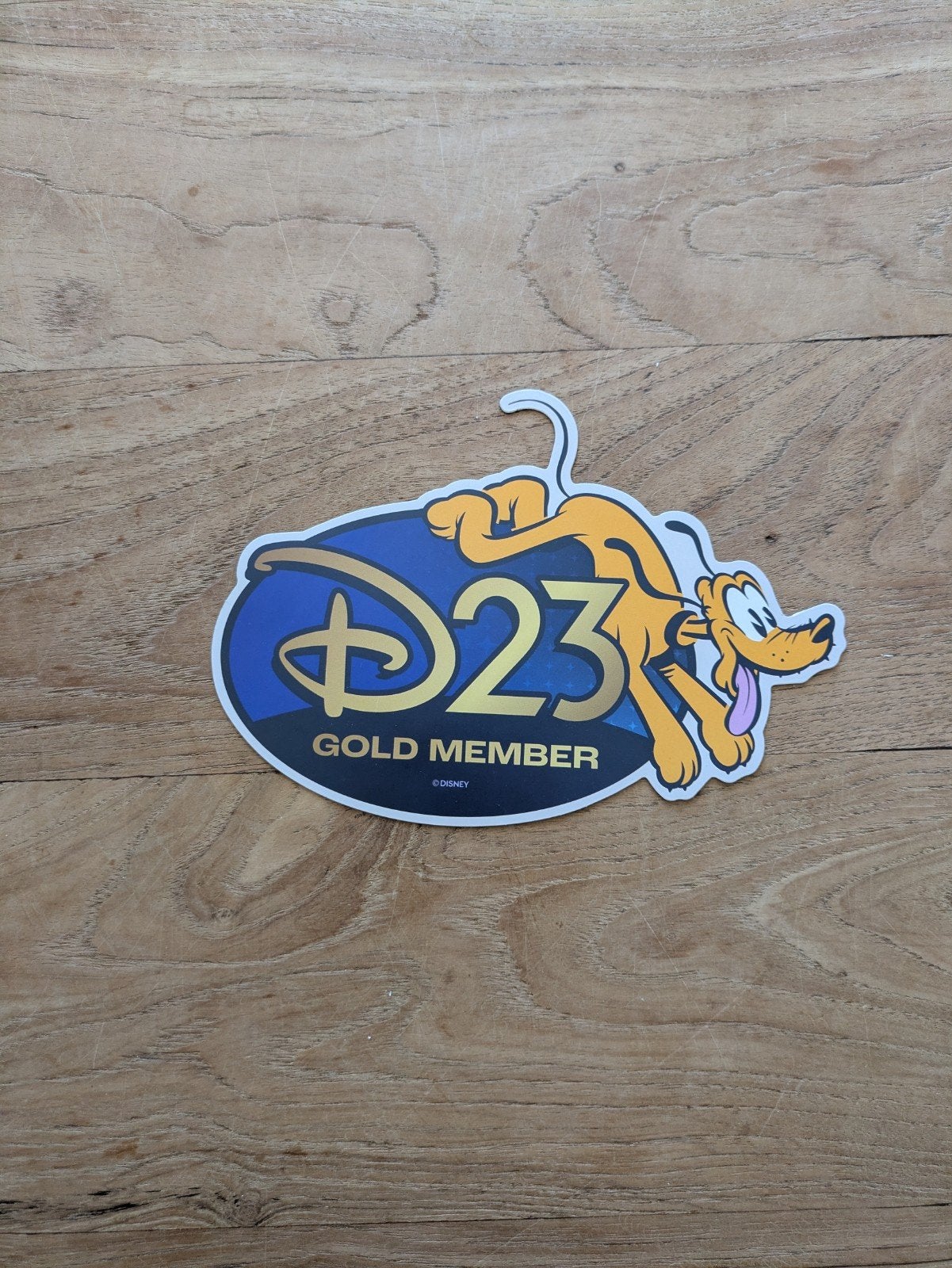 d23 gold member magneet, Verzamelen, Ophalen of Verzenden, Goofy of Pluto, Nieuw, Overige typen