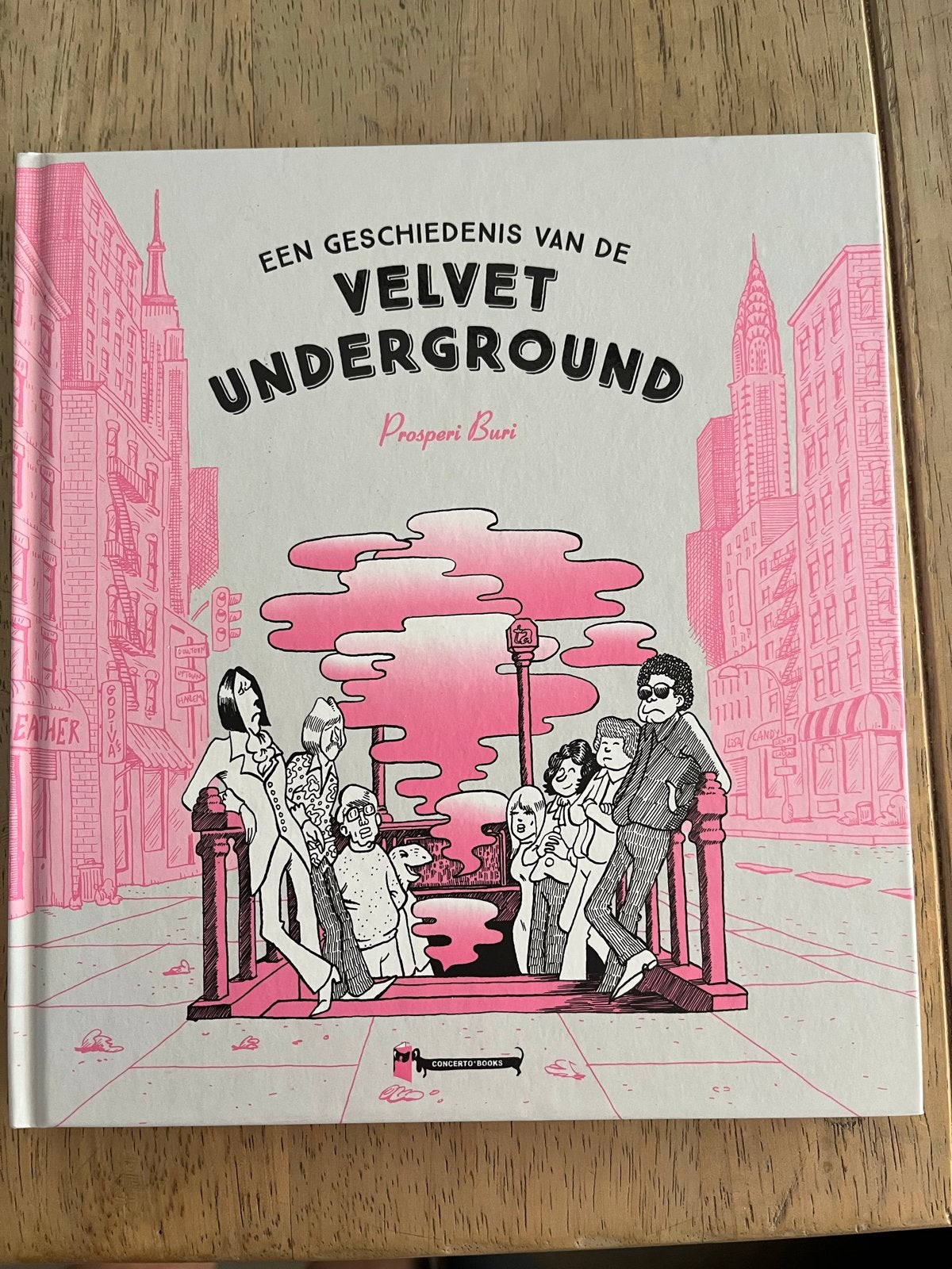 De Velvet Underground: Een Grafische Geschiedenis, Eén stripboek, Ophalen of Verzenden, Zo goed als nieuw