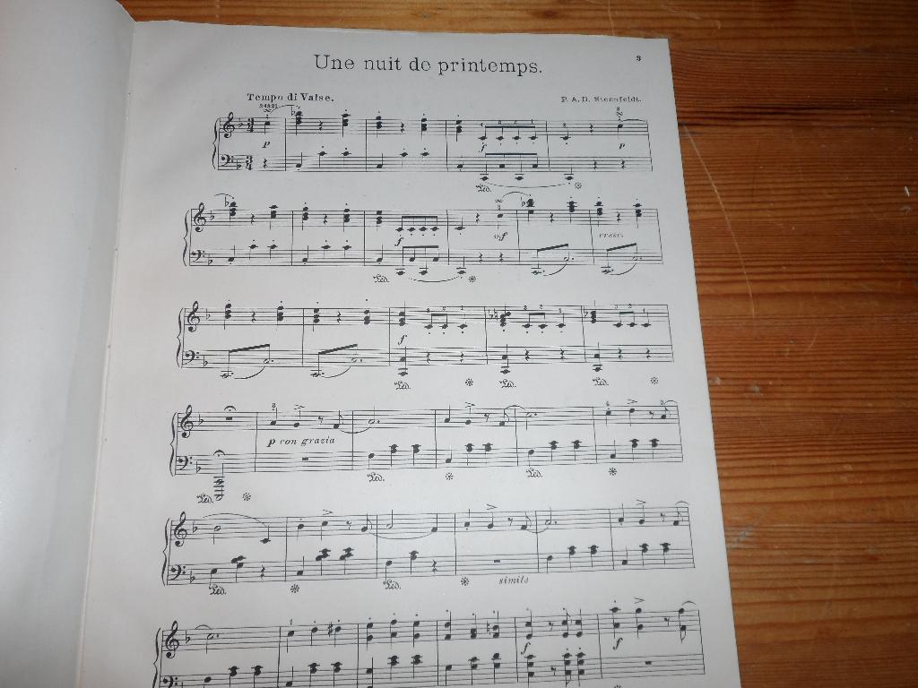 P. Steenfeldt - Une nuit de printemps, Gebruikt, Ophalen of Verzenden, Artiest of Componist, Piano