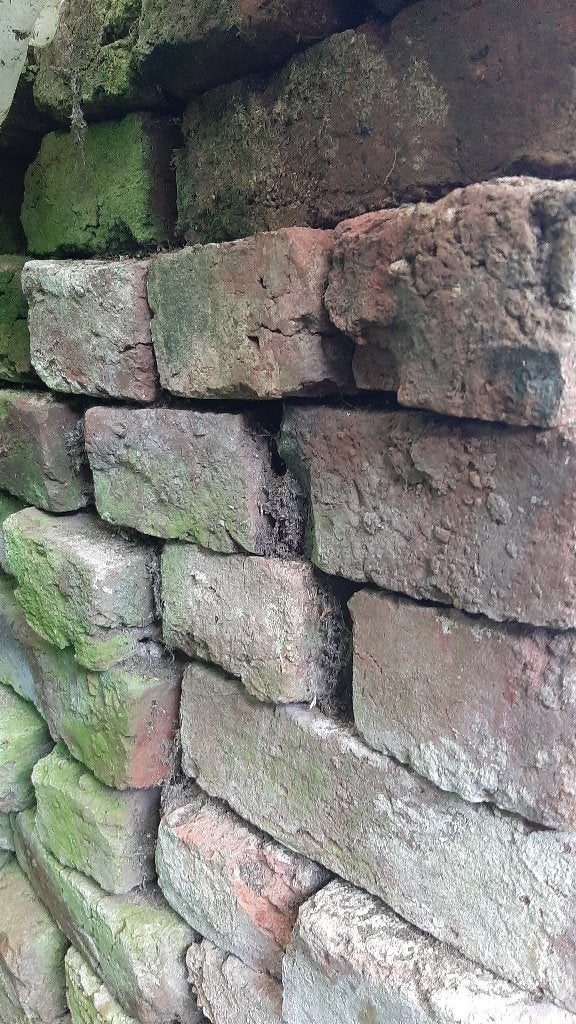 Oude bakstenen met mos - Ideaal voor tuinprojecten, Ophalen, Gebruikt, Overige typen
