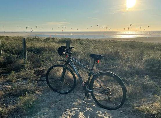 Trek aluminium dual sport 29”, Fietsen en Brommers, Ophalen, Meer dan 20 versnellingen, Overige merken