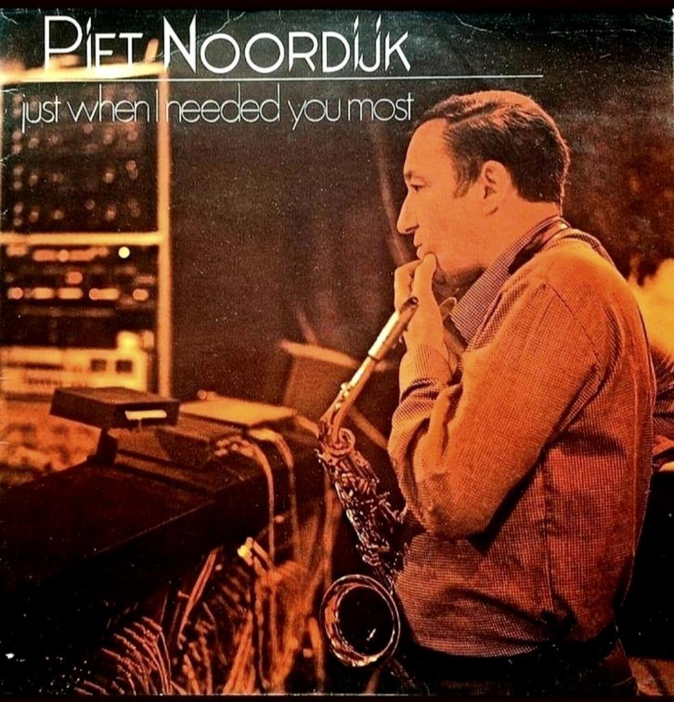 LP  PIET NOORDIJK - Just When I Needed You Most, 1960 tot 1980, Gebruikt, Ophalen of Verzenden, 12 inch