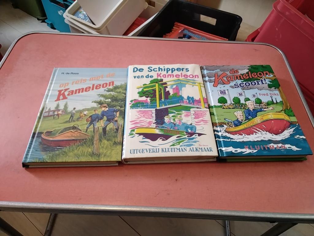 De kameleon boeken 2.50 per stuk zie omschrijving, Ophalen of Verzenden, Zo goed als nieuw