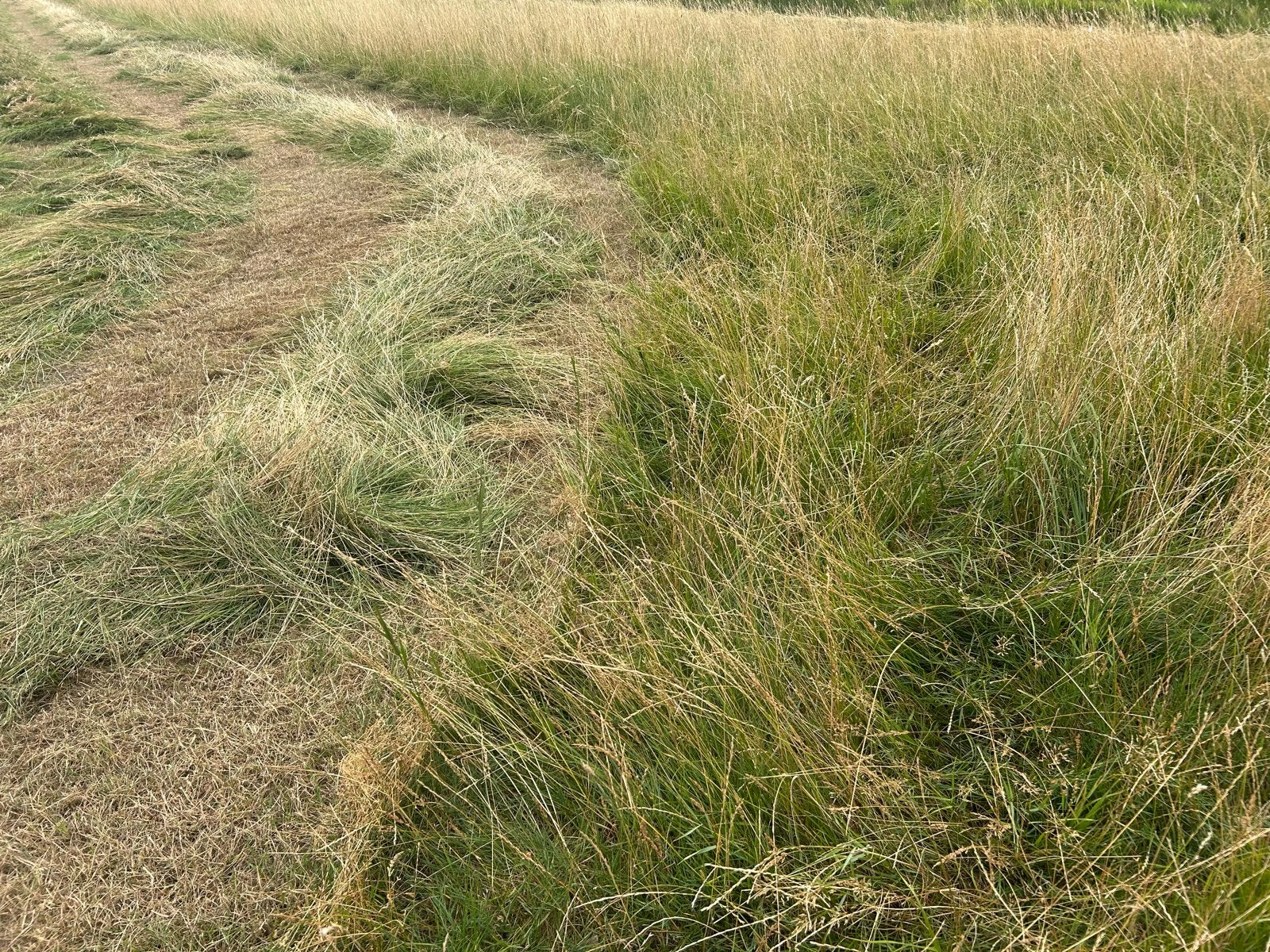 Hooibouw kleine pakjes hooi - Vers van het land!, Ophalen of Verzenden