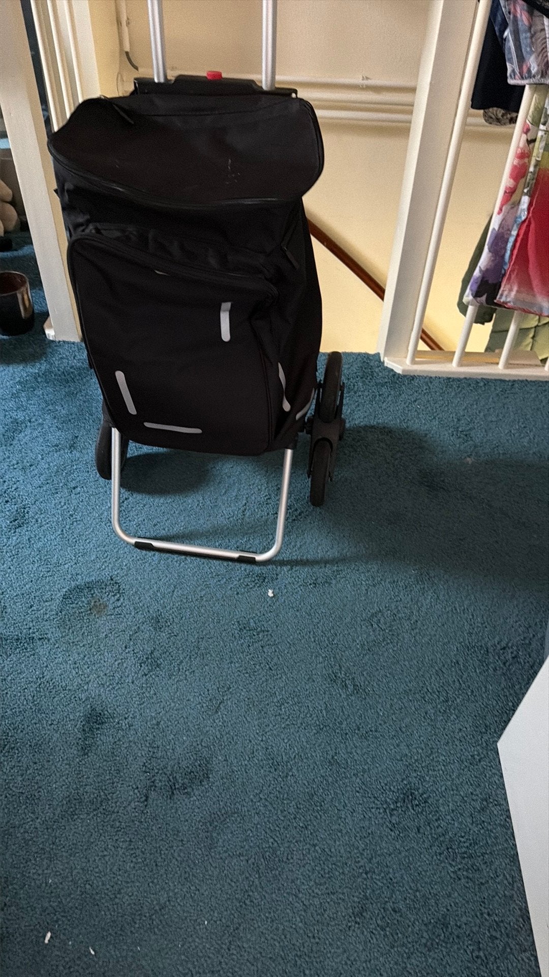 Boodschappen kar, Ophalen of Verzenden, Zo goed als nieuw, 30 cm of meer