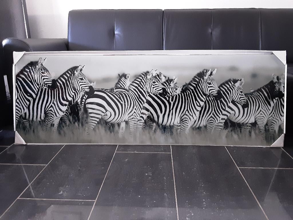 Schilderij foto op glas Zebra's savanne Afrika gloednieuw!!!, 50 tot 75 cm, Overige typen, Nieuw, 125 cm of meer