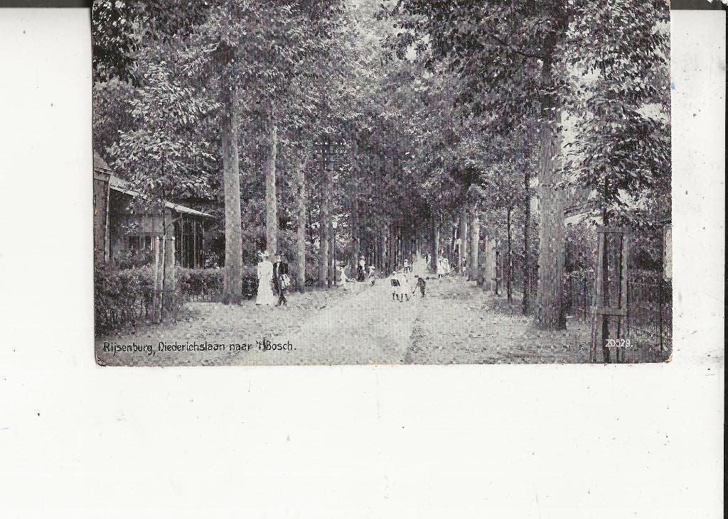 Rijsenburg Diederichselaan maar t Bosch 24 febr 1909, Ophalen of Verzenden, Voor 1920, Gelopen, Utrecht