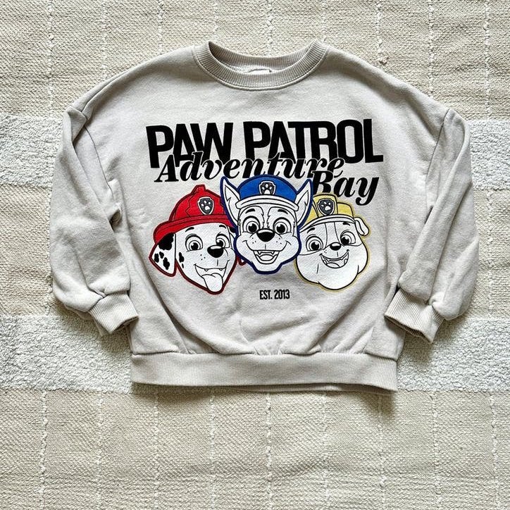 Paw Patrol trui maat 110 (5 jaar) - Zo goed als nieuw, Ophalen of Verzenden, Zo goed als nieuw, Jongen of Meisje, Trui of Vest
