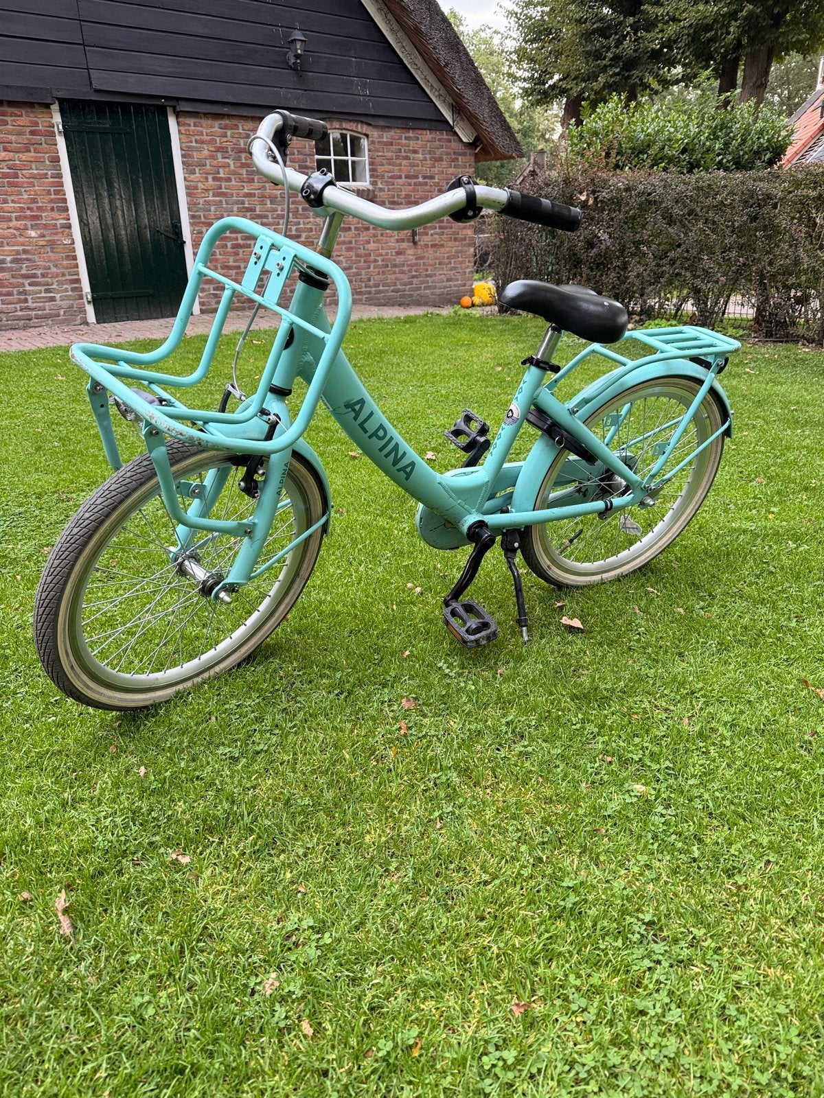 Alpina meisjesfiets 20 inch - klaar voor een 2e ronde!, Ophalen of Verzenden, Gebruikt, 20 inch