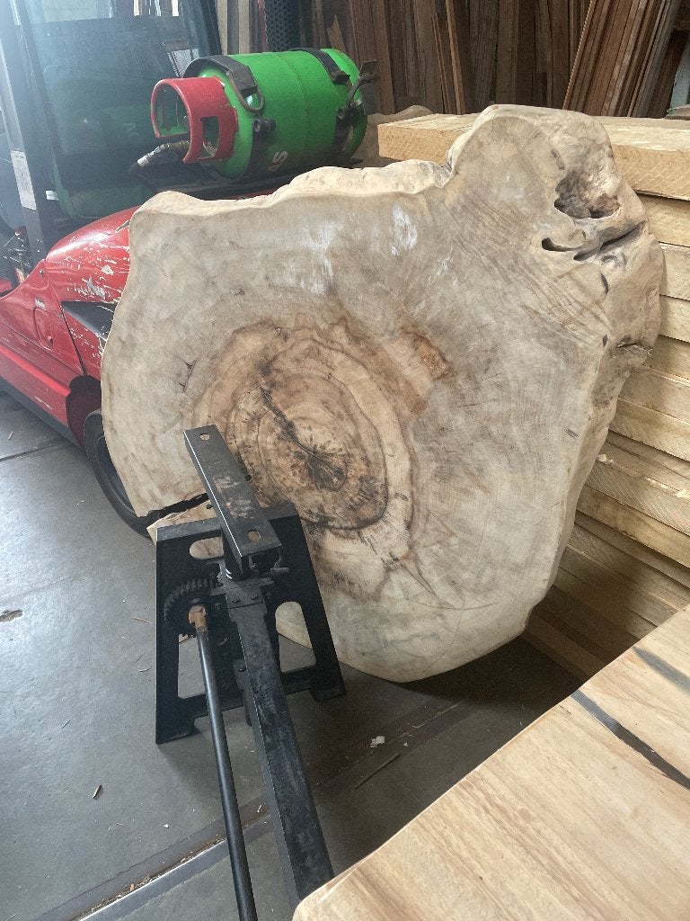 Mango boomschijven 130/140cm, Ophalen, Nieuw, Hout