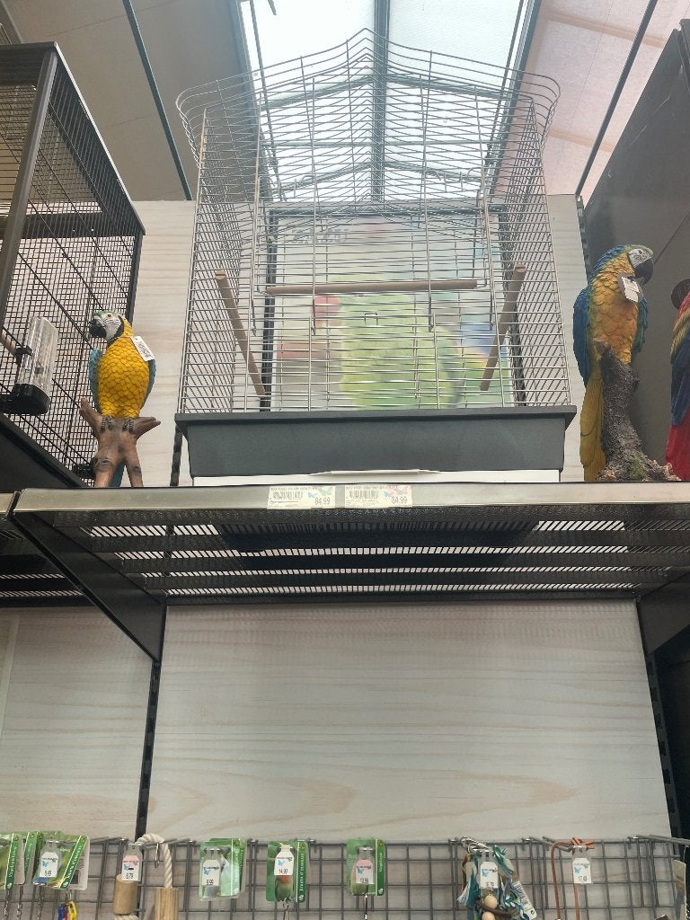 Vogelkooi z.g.a.n., Ophalen, Zo goed als nieuw, Metaal, Vogelkooi