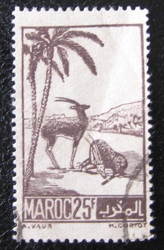 MAROKKO 10 - Dieren: zoogdieren (gazelle), Verzenden, Postfris, Dier of Natuur