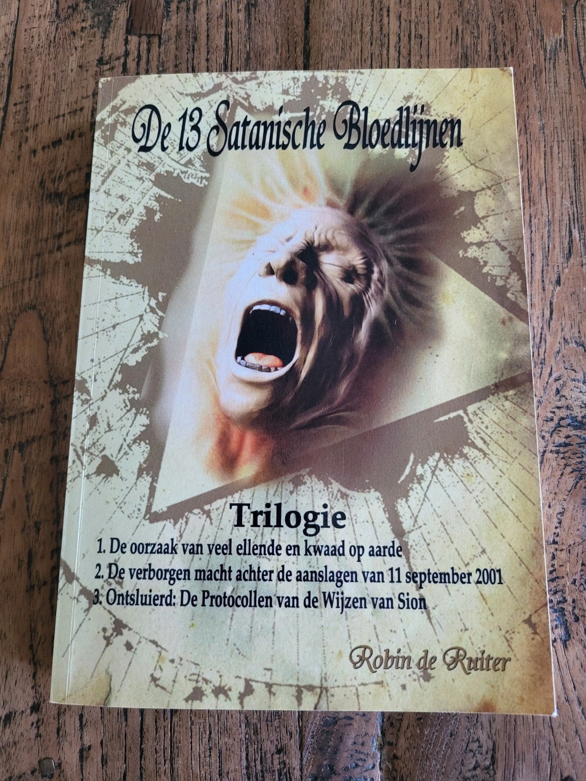 De 13 Satanische Bloedlijnen - Robin de Ruiter (als nieuw), Ophalen of Verzenden, Zo goed als nieuw, Robin de Ruiter