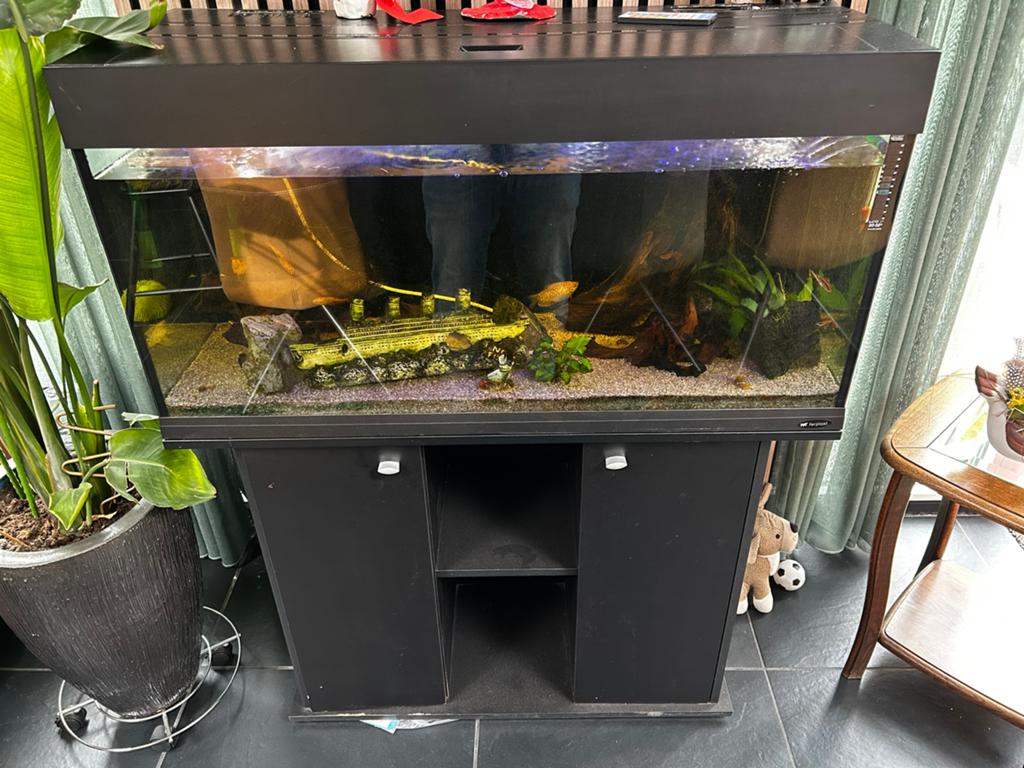 Aquarium te koop, Ophalen, Inclusief vissen, Gebruikt, Overige typen