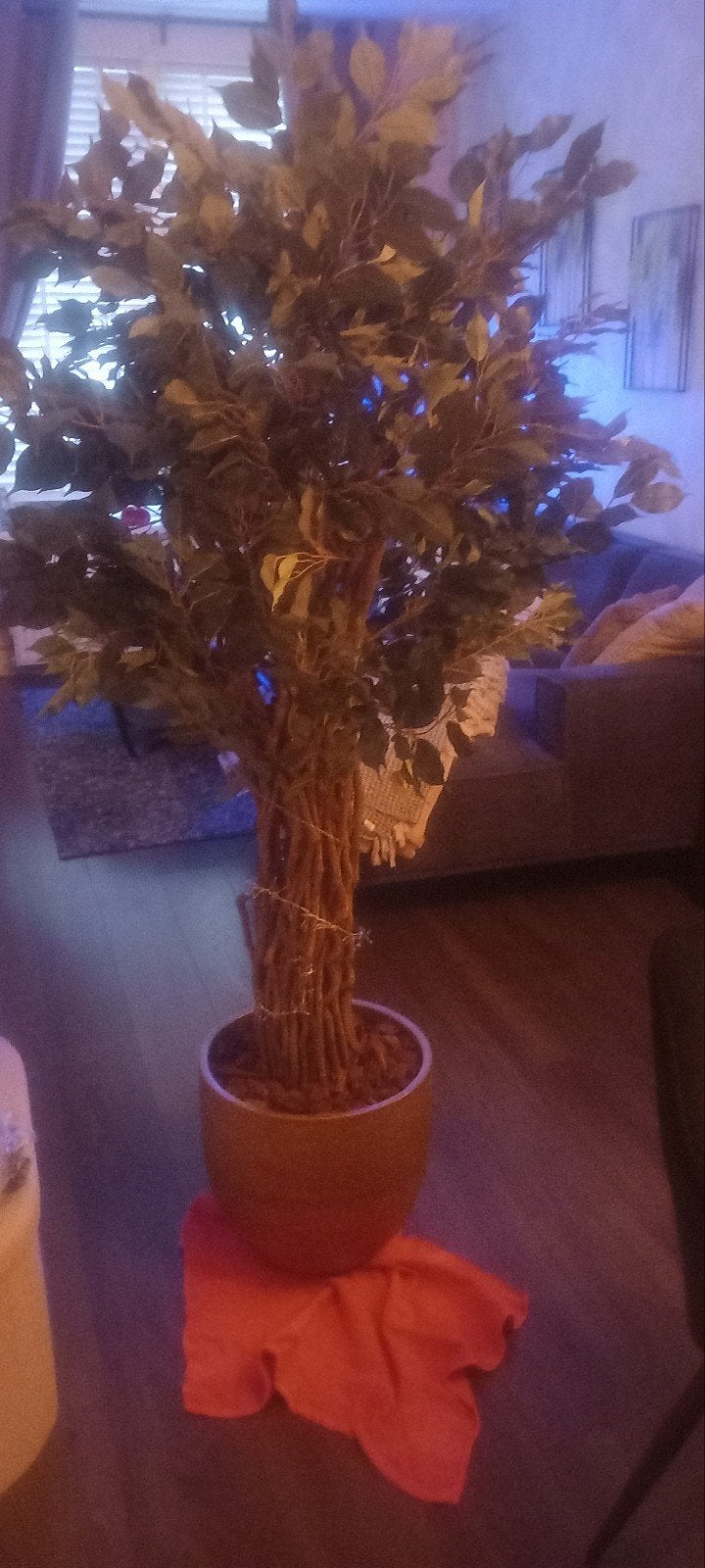 Ficus nep boom met mooie gouden pot 180 hoog, Huis en Inrichting, Ophalen