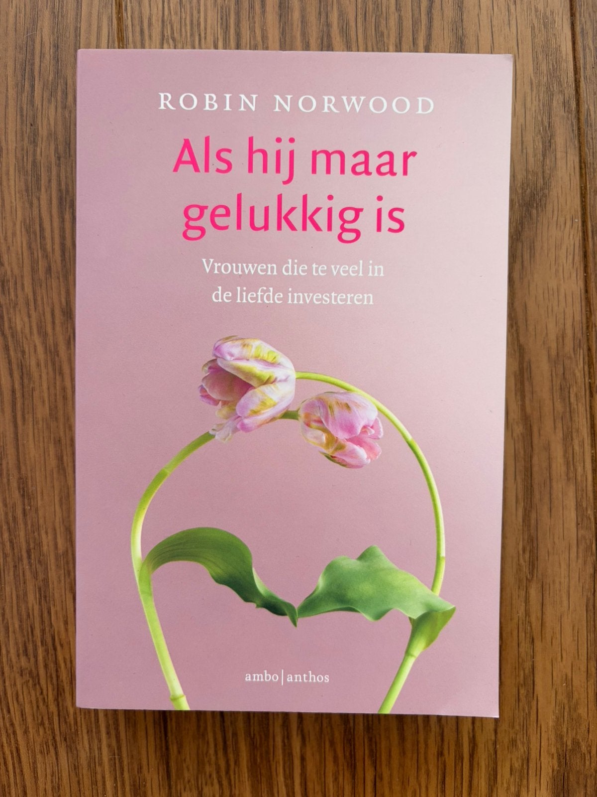 Robin Norwood - Als hij maar gelukkig is- NIEUW, Sociale psychologie, Verzenden, Nieuw, Robin Norwood