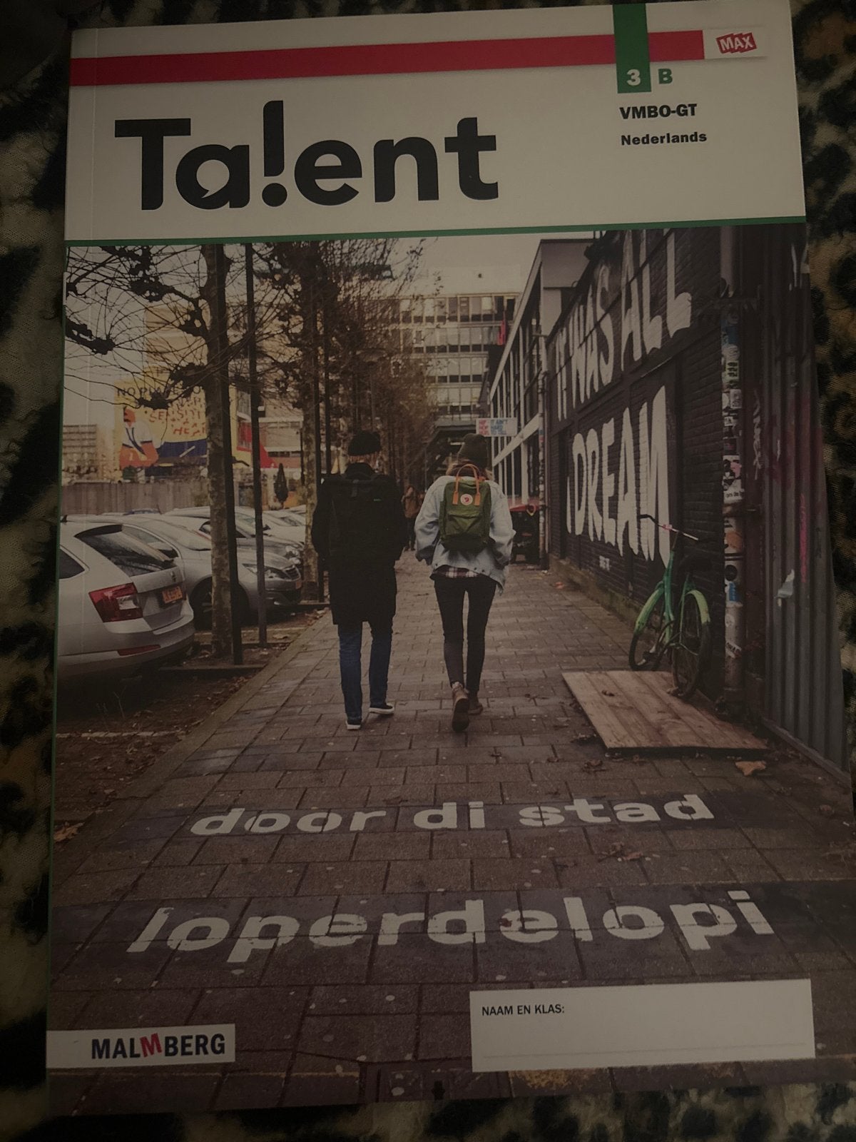 Talent 3B VMBO-GT Nederlands werkboek, Boeken, Ophalen of Verzenden, Zo goed als nieuw, VMBO, Nederlands