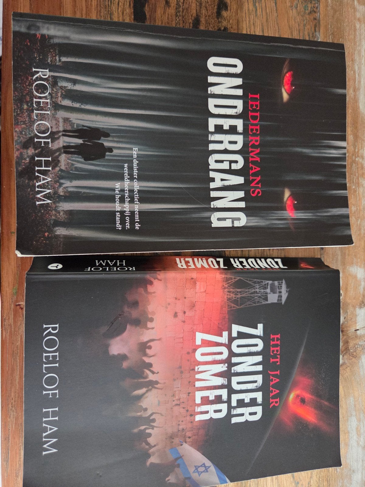 2 boeken van Roelof Ham, Ophalen, Zo goed als nieuw, Roelof Ham, Nederland