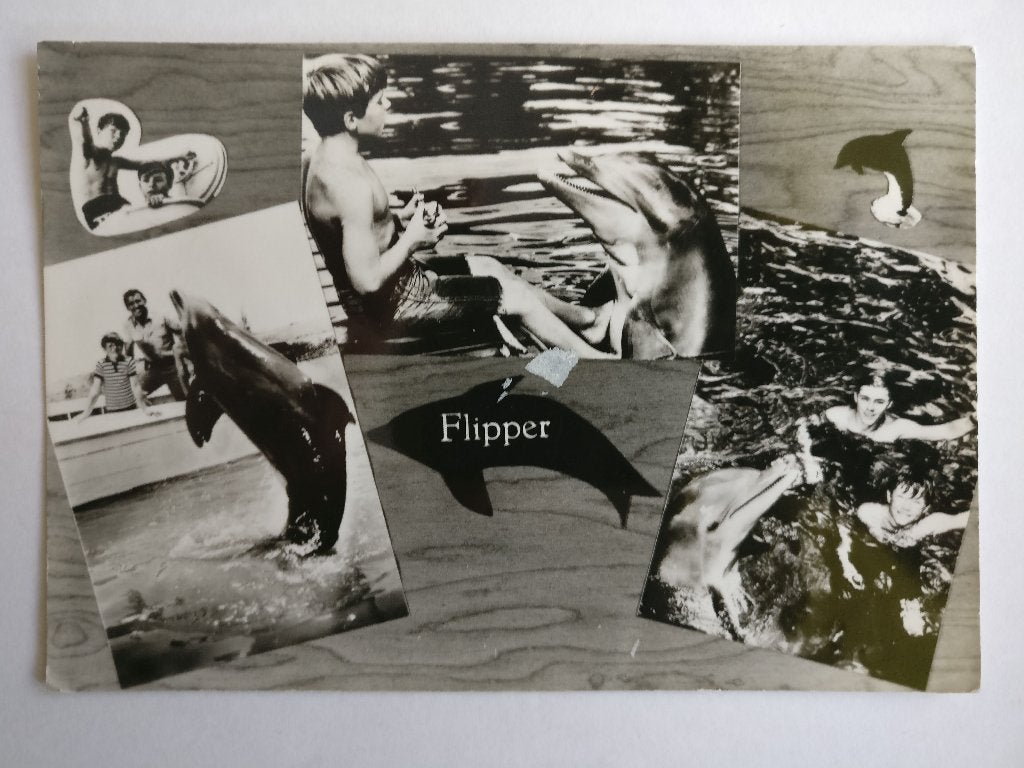 2X ANSICHTKAART FLIPPER KINDERSERIE VINTAGE JAREN 60 DOLFIJN, Verzenden, 1960 tot 1980, Ongelopen, Sterren en Beroemdheden