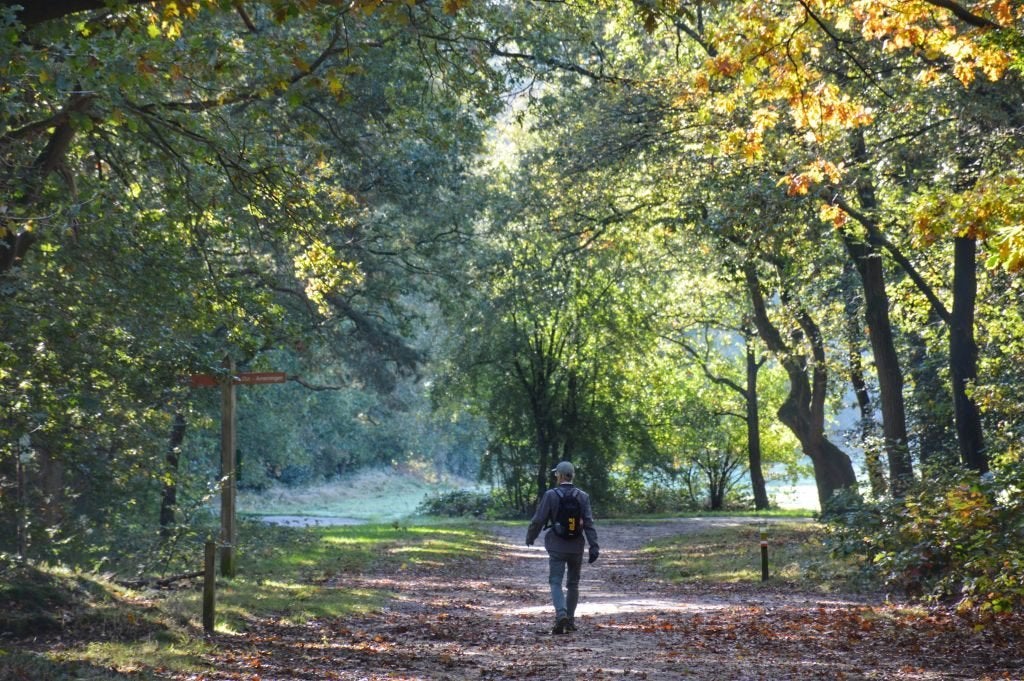 Nette man zoekt vrouw/ wandelmaat leeftijd tussen 42-58 jaar