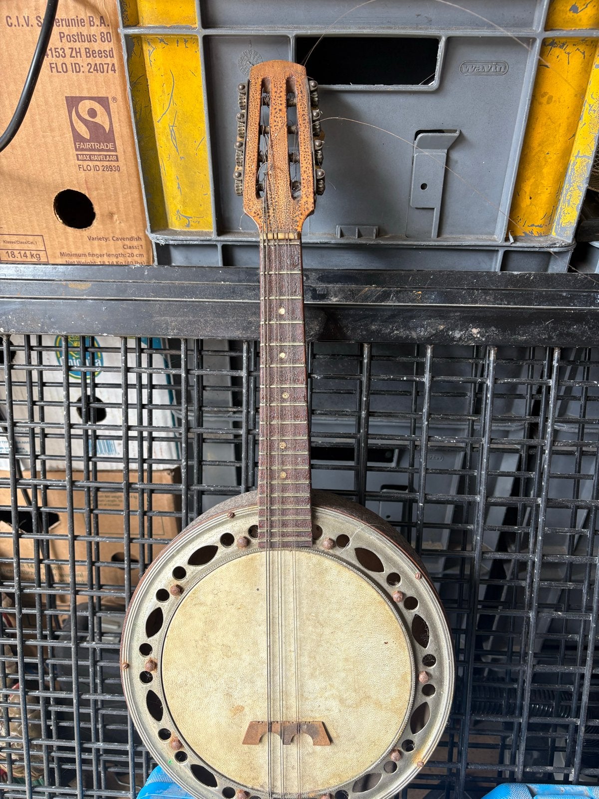 Unieke Vintage Banjo met Handgeschilderde Decoratie, Ophalen of Verzenden, Gebruikt, Overige typen