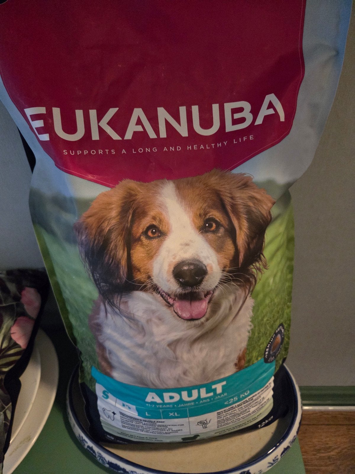 hondenbrokken, Dieren en Toebehoren, Dierenvoeding, Ophalen, Hond