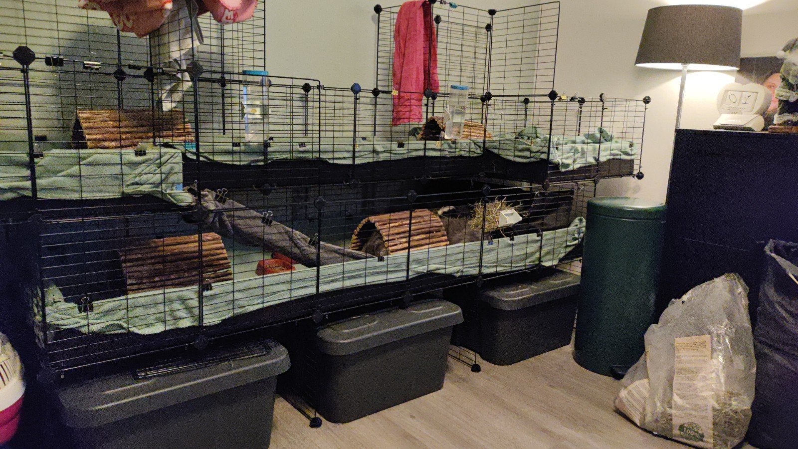 C&C cavia kooi 6x2 2x2 4x1, Ophalen, Kooi, 90 cm of meer, Cavia