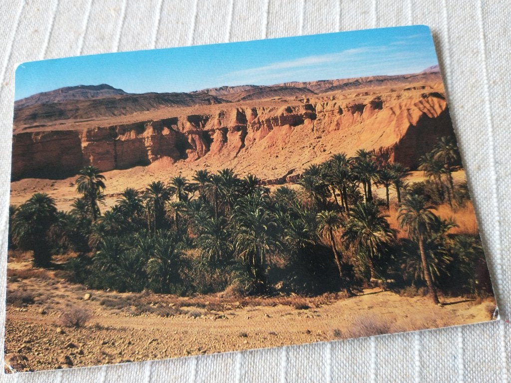 Algerije - Paysage typique d'Algérie, Ophalen of Verzenden, 1980 tot heden, Gelopen, Buiten Europa