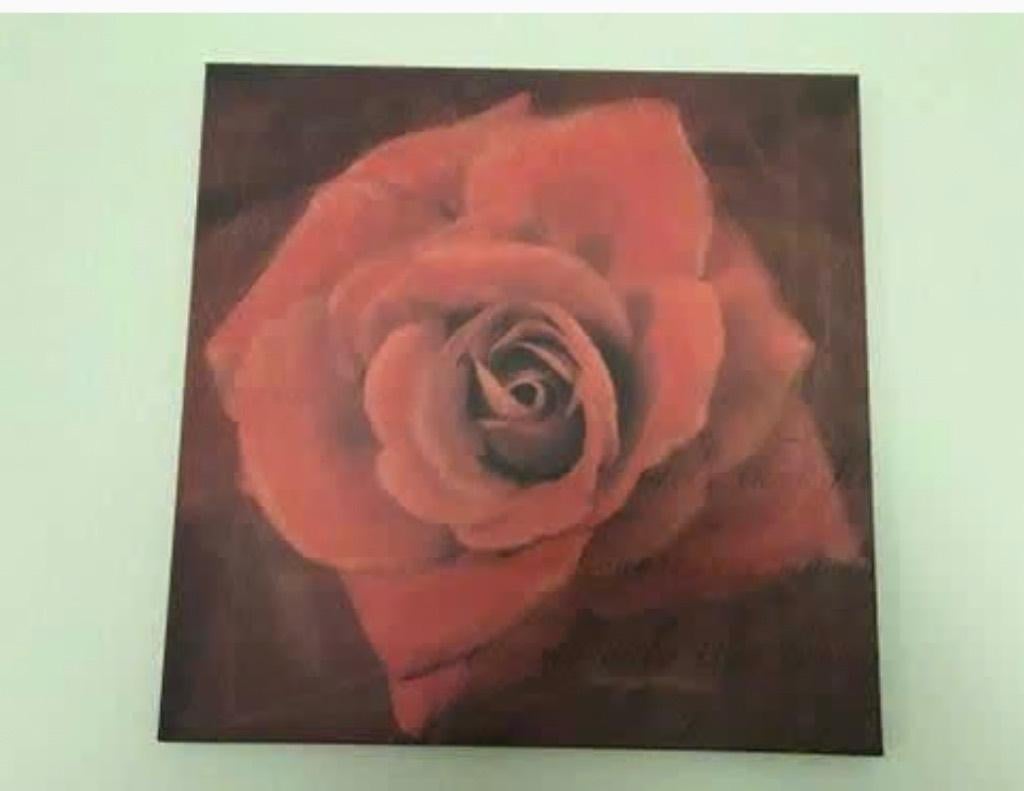 canvasdoek schilderij met rode roos, Ophalen, 125 cm of meer, Zo goed als nieuw, Schilderij