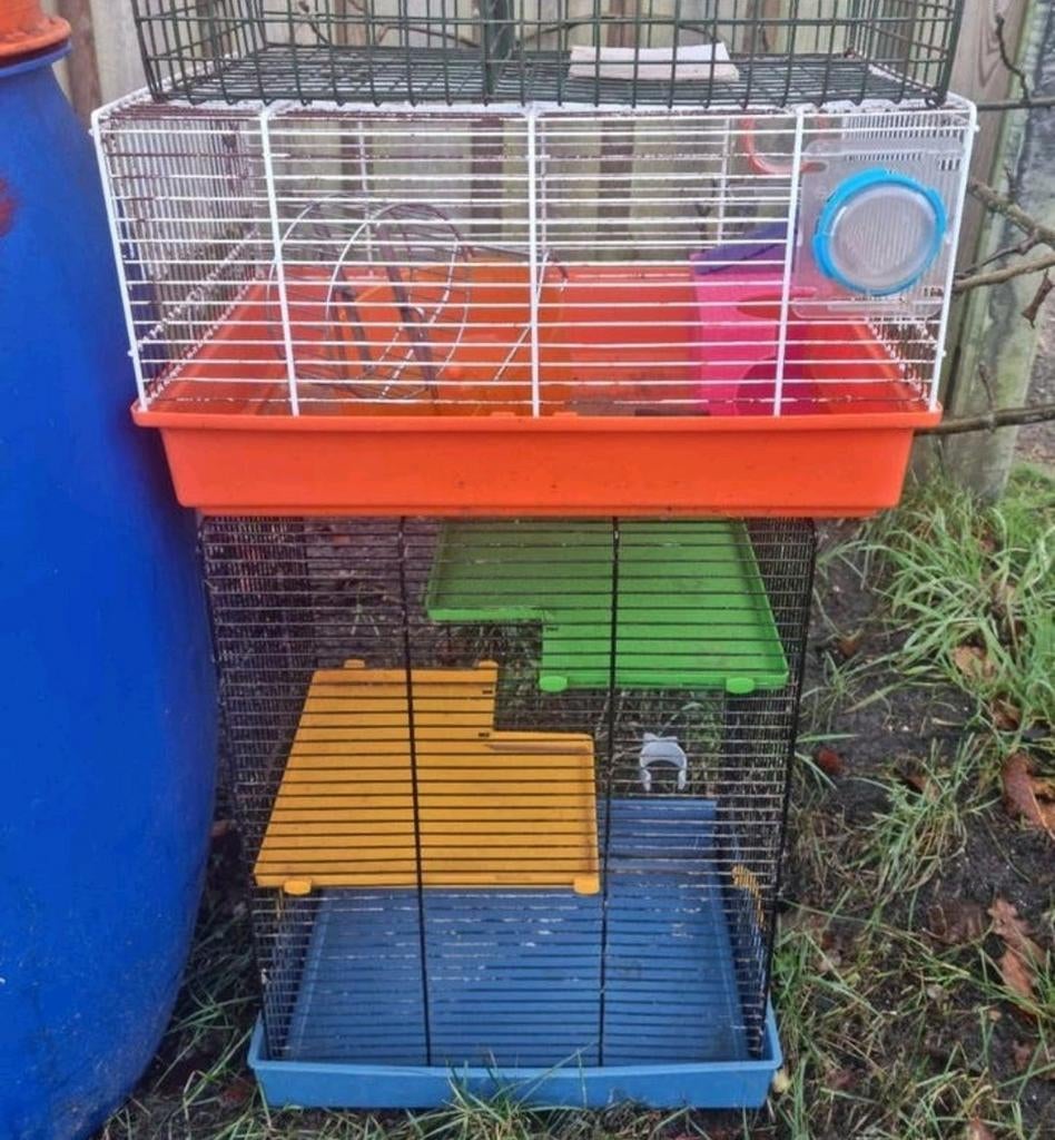 Hamsterkooien muizen hamster verblijven tijdelijke kooien, Kooi, Gebruikt, Minder dan 75 cm, Muis