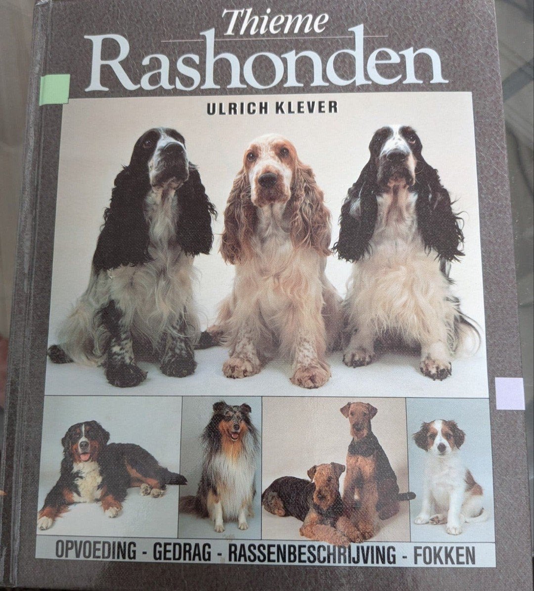 Thieme Rashonden: Opvoeding, Gedrag, Rassenbeschr.  Fokk, Ophalen of Verzenden, Gelezen, Honden, Ulrich Klever