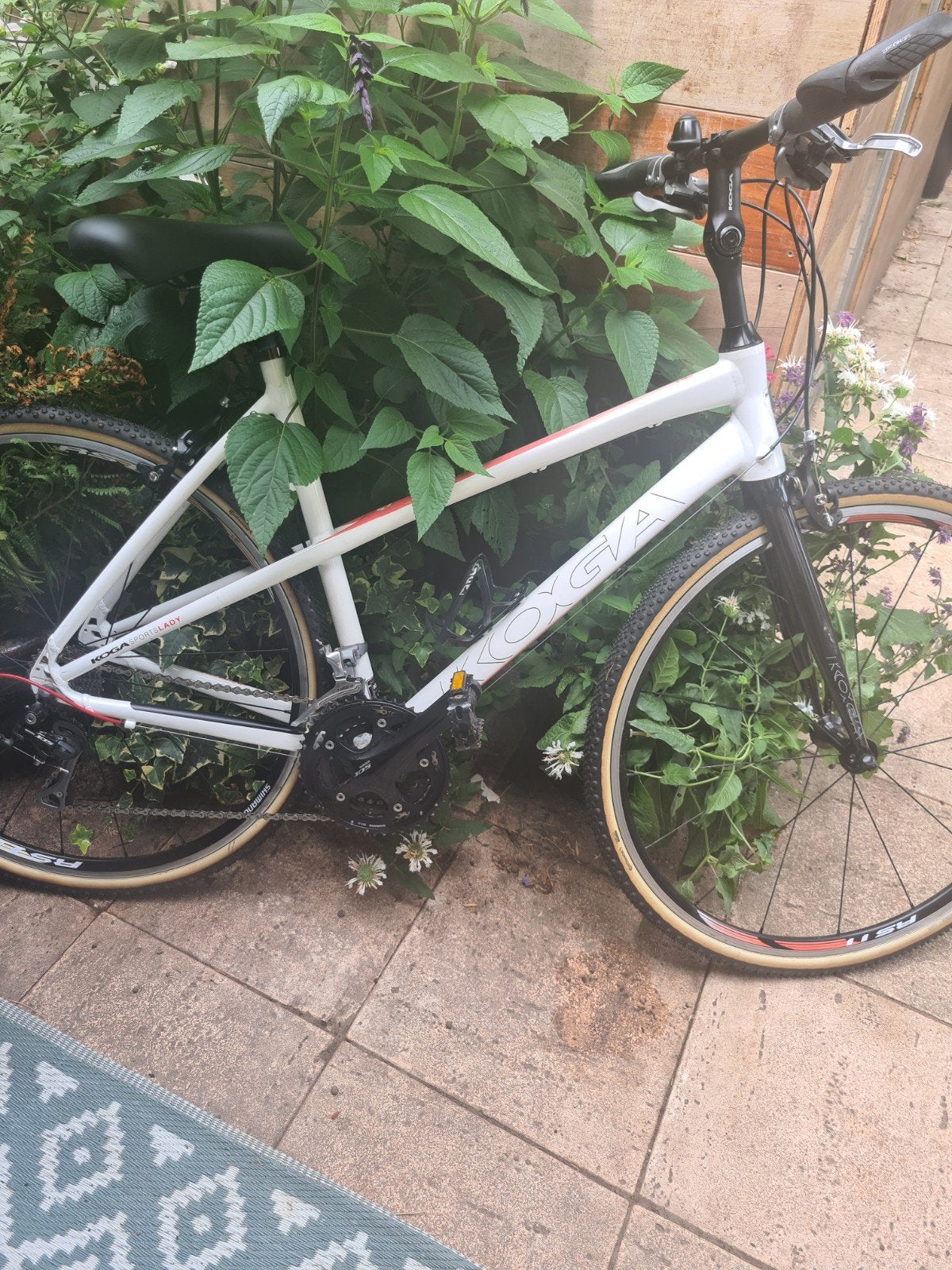 Koga sportslady racefiets gravelbike fitnessbike, Aluminium, Meer dan 20 versnellingen, 53 tot 57 cm, Ophalen