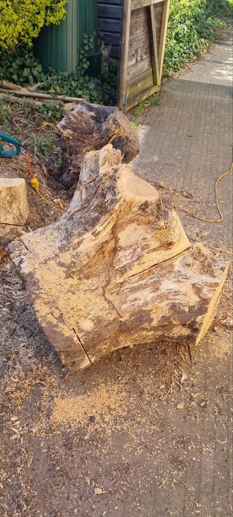 Boomstronk - Ideaal voor brandhout of decoratie, Tuin en Terras, Haardhout, 3 tot 6 m³, Ophalen of Verzenden, Overige houtsoorten