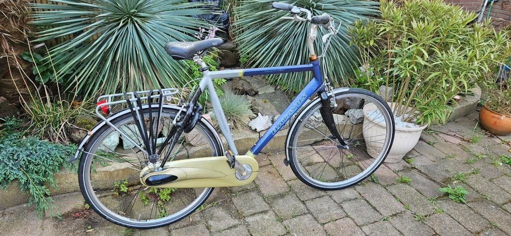 Batavus Crescendo Light herenfiets framemaat 61, 61 tot 65 cm, Ophalen, Gebruikt, Batavus
