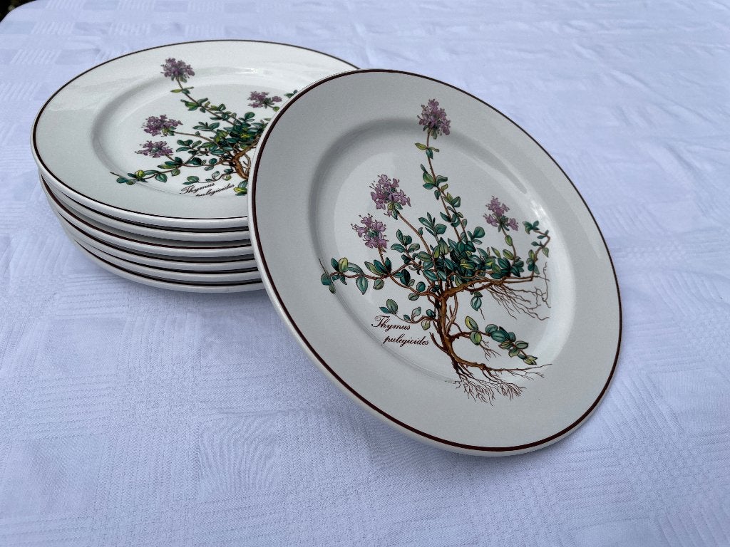 7 Villeroy & Boch Botanica ontbijtborden Ø 21 cm, Ophalen of Verzenden, Gebruikt, Porselein, Bord of Schaal