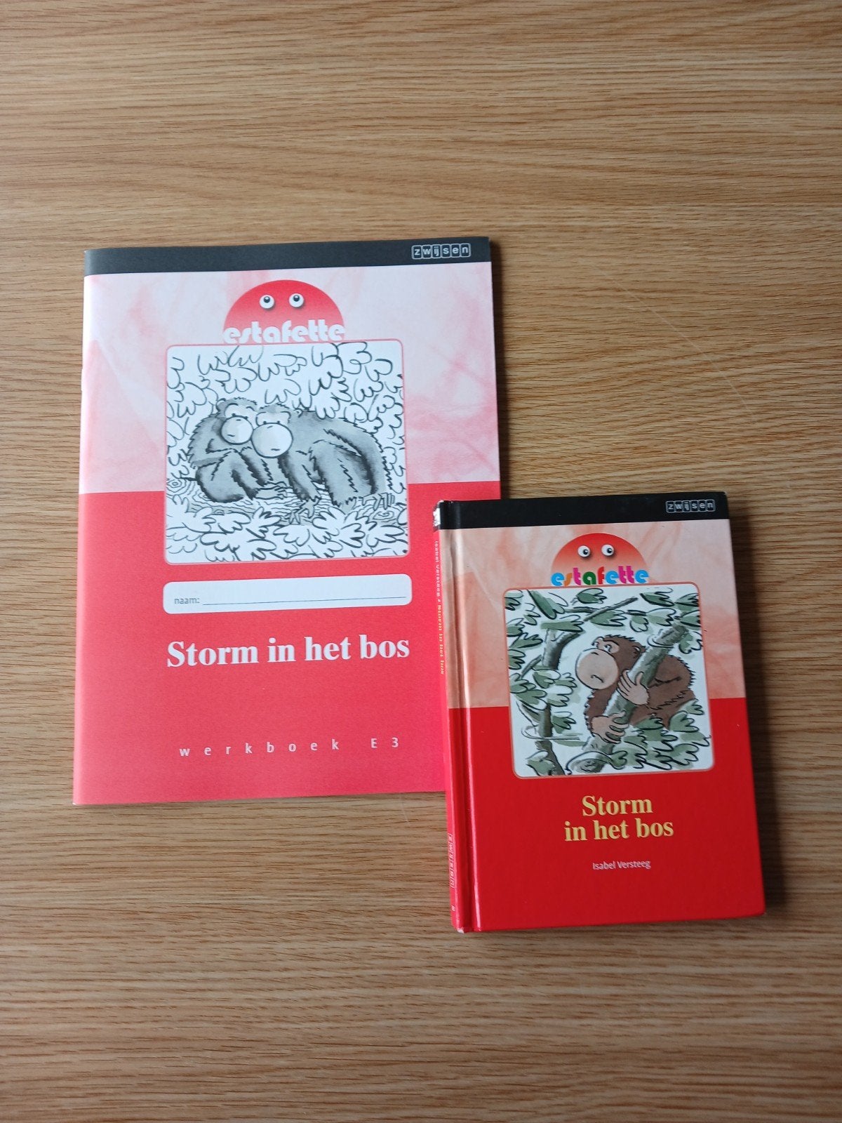 Estafette: Storm in het bos - Leesboek en Werkboek E3, Boeken, Isabel Versteeg, Ophalen of Verzenden, Zo goed als nieuw, Nederlands