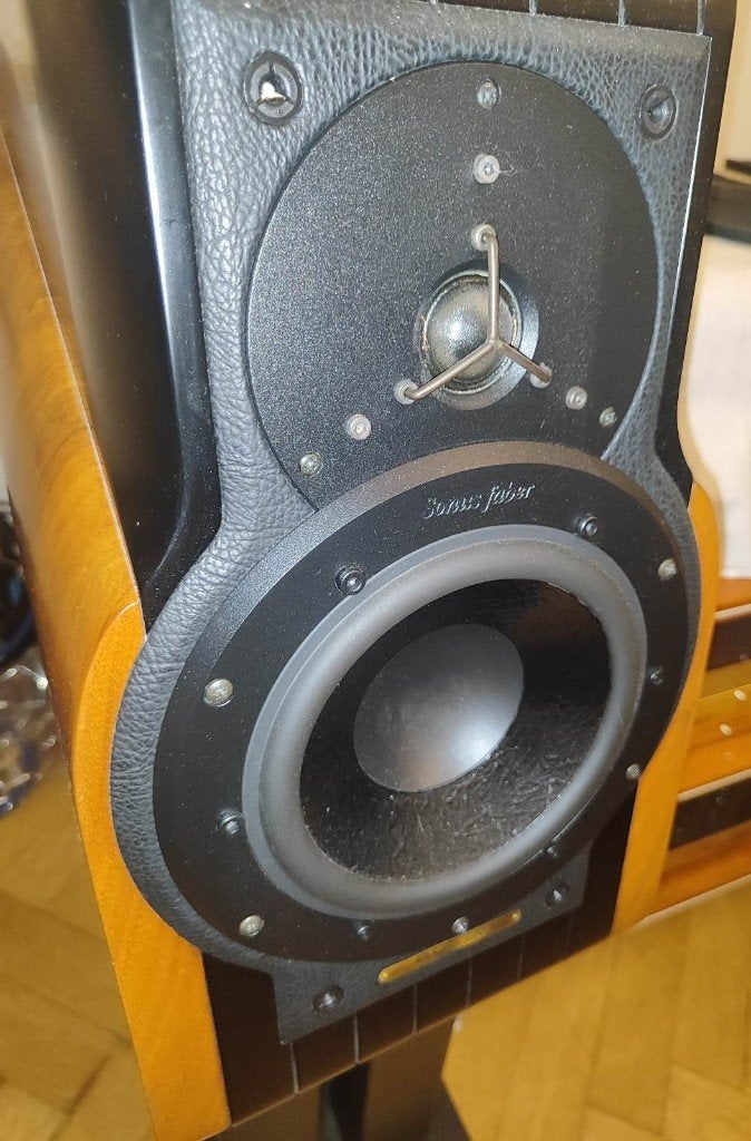Sonus Faber Extrema, Audio, Tv en Foto, Ophalen, Zo goed als nieuw, Vloerstaande luidspreker, Overige merken