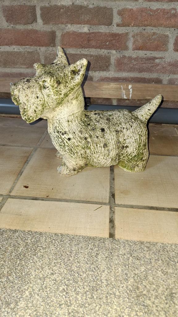 Standbeeld van een hond (steen), Ophalen of Verzenden, Grijs, Steen/keramiek, Klassiek