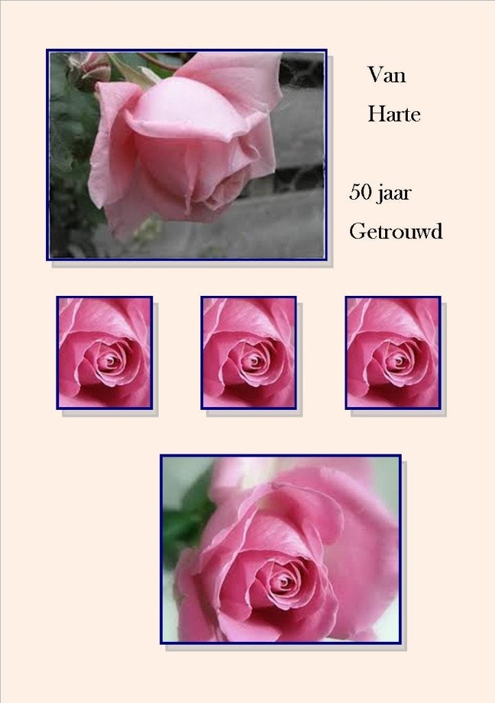 NIEUW FOTOKAARTEN Huwelijk / ... jaar getrouwd, Ophalen of Verzenden, Nieuw