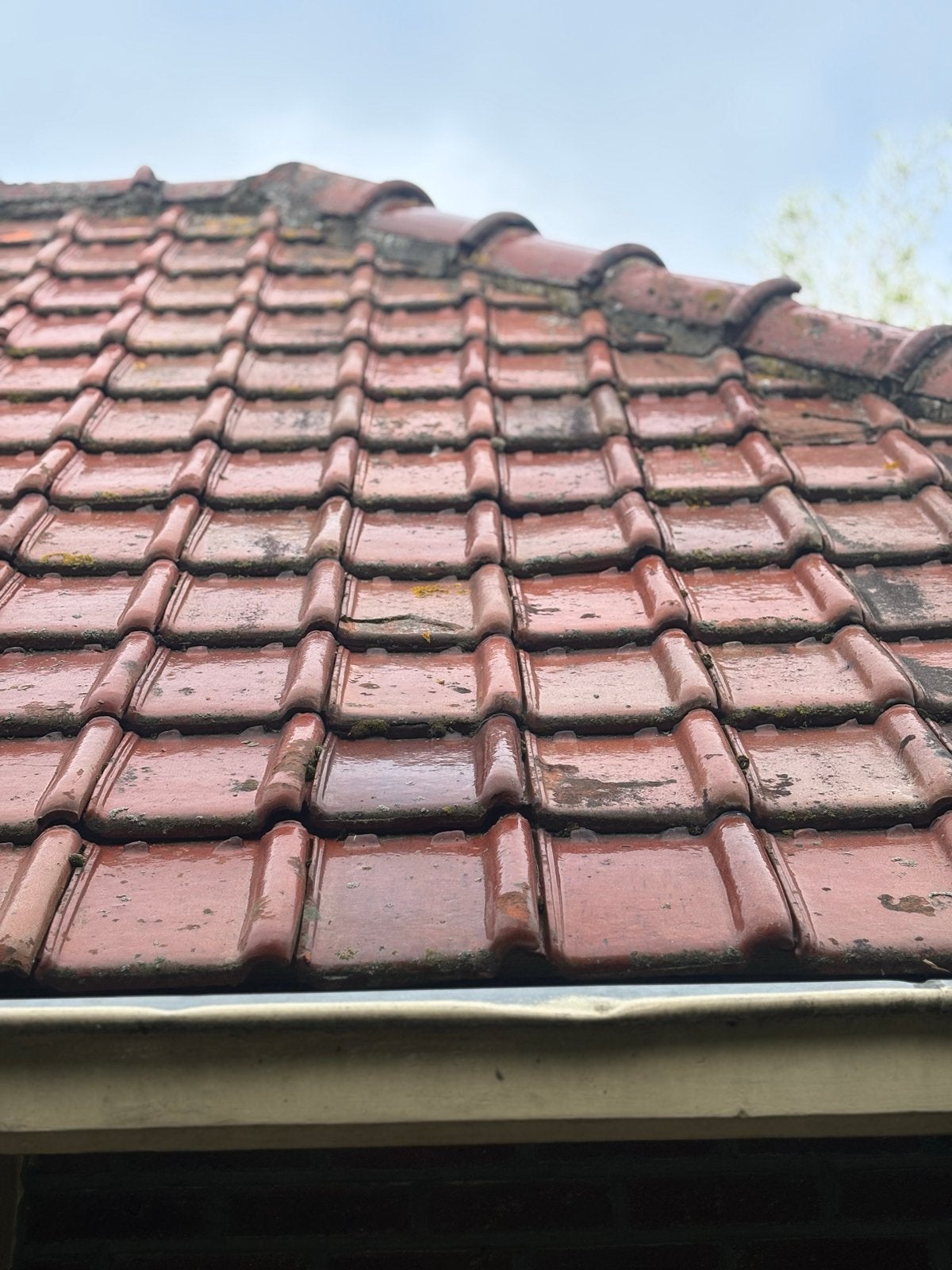 Tuile de Nord pan lichtbruin geglazuurd (1.500x), Ophalen, Gebruikt, 15 m² of meer, Dakpannen