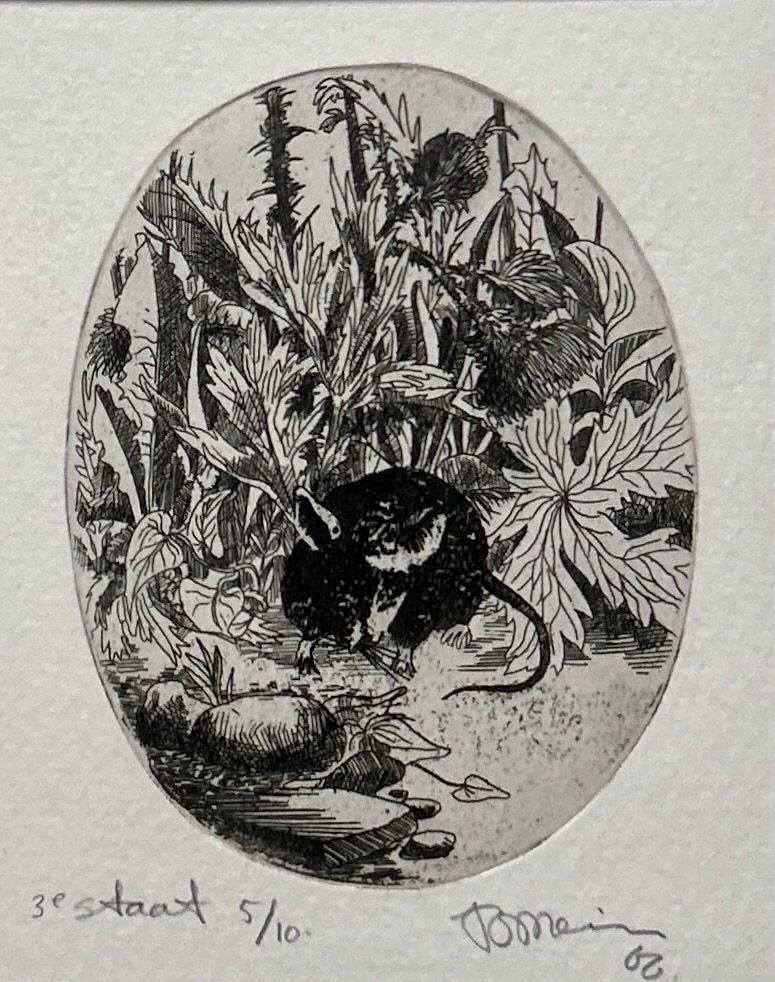 4 etsen Jan Bernard Meinen in passe-partout  Zomeropruiming, Antiek en Kunst, Kunst | Litho's en Zeefdrukken, Verzenden