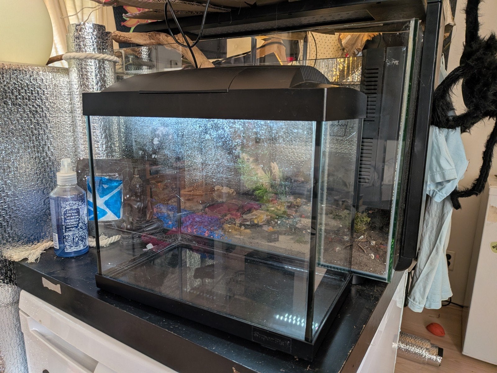 Super fish aquarium excl inhoud, Dieren en Toebehoren, Ophalen, Gebruikt, Leeg aquarium, Superfish